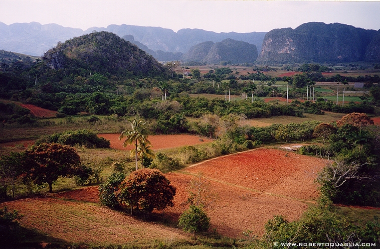 Cuba Viñales